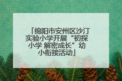 绵阳市安州区沙汀实验小学开展“初探小学 解密成长”幼小衔接活动