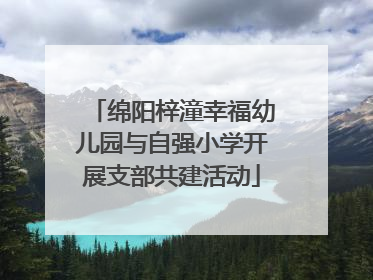 绵阳梓潼幸福幼儿园与自强小学开展支部共建活动