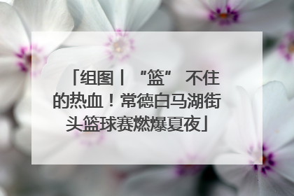 组图丨“篮” 不住的热血！常德白马湖街头篮球赛燃爆夏夜