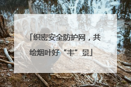 织密安全防护网，共绘烟叶好“丰”景