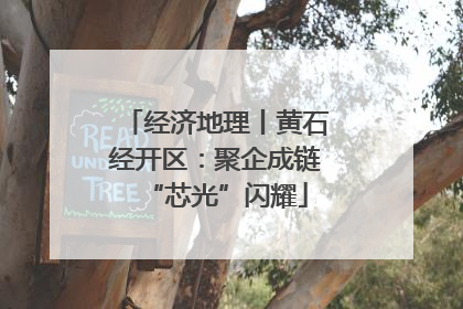经济地理丨黄石经开区：聚企成链“芯光”闪耀