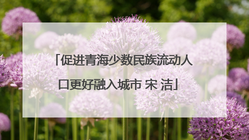 促进青海少数民族流动人口更好融入城市 宋 洁