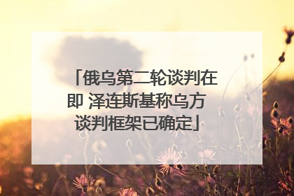 俄乌第二轮谈判在即 泽连斯基称乌方谈判框架已确定