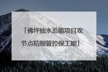 佛坪抽水蓄能项目攻节点精细管控保工期