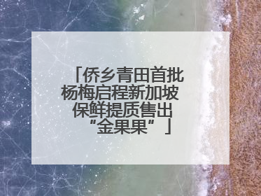 侨乡青田首批杨梅启程新加坡 保鲜提质售出“金果果”