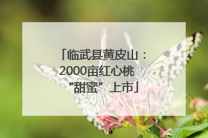 临武县黄皮山：2000亩红心桃“甜蜜”上市