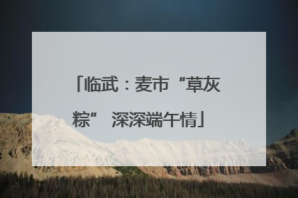 临武：麦市“草灰粽” 深深端午情