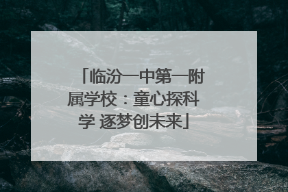 临汾一中第一附属学校：童心探科学 逐梦创未来