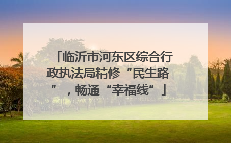 临沂市河东区综合行政执法局精修“民生路”，畅通“幸福线”