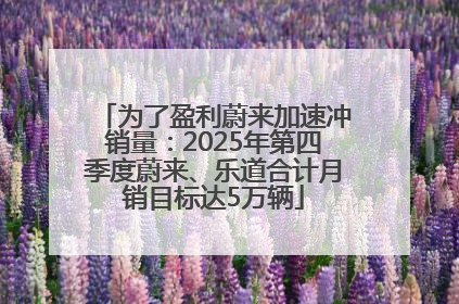 为了盈利蔚来加速冲销量：2025年第四季度蔚来、乐道合计月销目标达5万辆