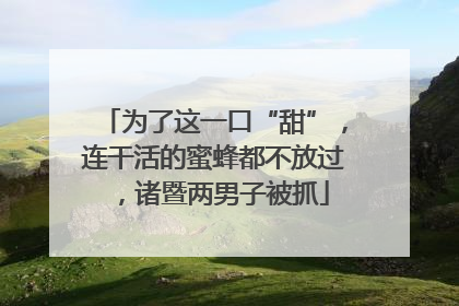 为了这一口“甜”，连干活的蜜蜂都不放过，诸暨两男子被抓