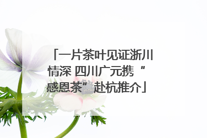 一片茶叶见证浙川情深 四川广元携“感恩茶”赴杭推介
