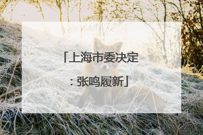 上海市委决定：张鸣履新