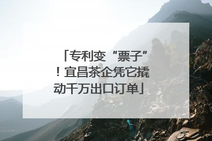 专利变“票子”！宜昌茶企凭它撬动千万出口订单