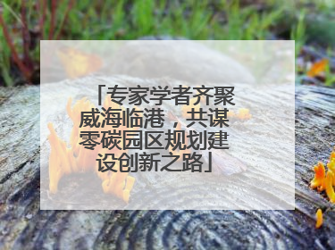专家学者齐聚威海临港，共谋零碳园区规划建设创新之路