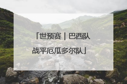世预赛｜巴西队战平厄瓜多尔队