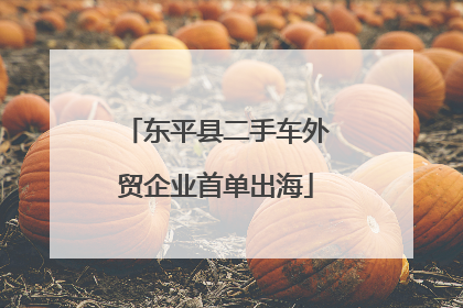 东平县二手车外贸企业首单出海