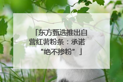 东方甄选推出自营红薯粉条：承诺“绝不掺粉”
