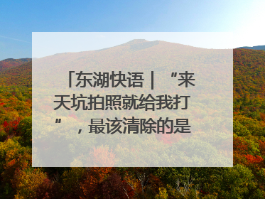 东湖快语｜“来天坑拍照就给我打”，最该清除的是“护短”思维