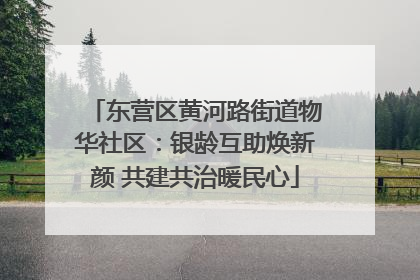 东营区黄河路街道物华社区：银龄互助焕新颜 共建共治暖民心