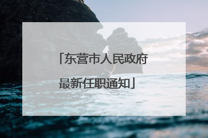东营市人民政府最新任职通知