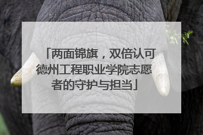 两面锦旗，双倍认可德州工程职业学院志愿者的守护与担当