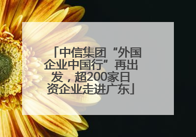 中信集团“外国企业中国行”再出发，超200家日资企业走进广东