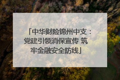 中华财险锦州中支：党建引领消保宣传 筑牢金融安全防线