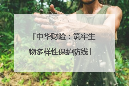 中华财险：筑牢生物多样性保护防线