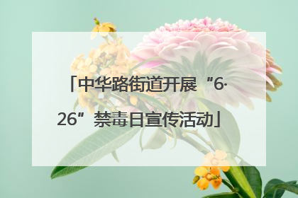 中华路街道开展“6·26”禁毒日宣传活动