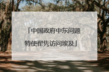 中国政府中东问题特使翟隽访问埃及