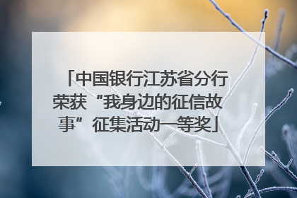 中国银行江苏省分行荣获“我身边的征信故事”征集活动一等奖