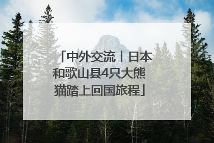 中外交流丨日本和歌山县4只大熊猫踏上回国旅程