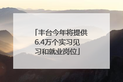 丰台今年将提供6.4万个实习见习和就业岗位