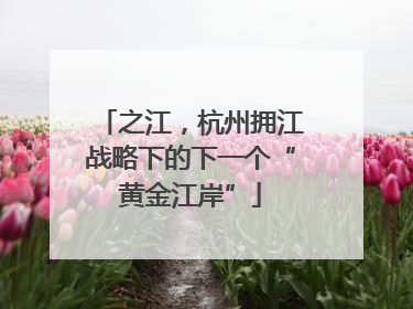 之江，杭州拥江战略下的下一个“黄金江岸”