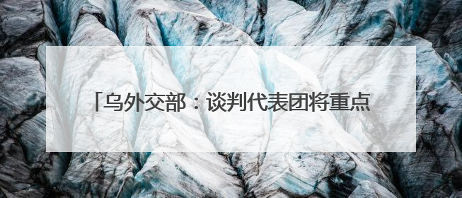 乌外交部：谈判代表团将重点关注实现完全和无条件停火