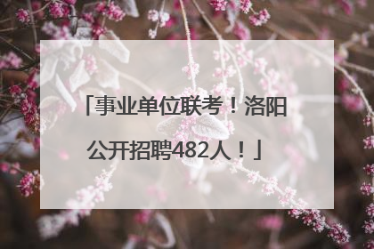 事业单位联考！洛阳公开招聘482人！