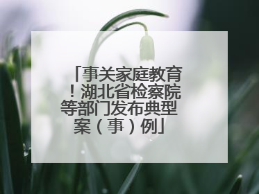 事关家庭教育！湖北省检察院等部门发布典型案（事）例