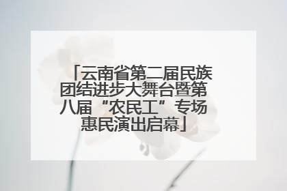 云南省第二届民族团结进步大舞台暨第八届“农民工”专场惠民演出启幕