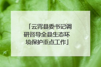 云霄县委书记调研督导全县生态环境保护重点工作