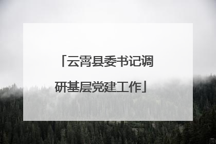 云霄县委书记调研基层党建工作