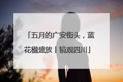 五月的广安街头，蓝花楹盛放丨镜观四川