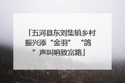 五河县东刘集镇乡村振兴添“金羽” “鸽”声叫响致富路