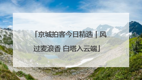 京城拍客今日精选｜风过麦浪香 白塔入云端