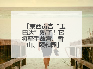京西贡杏“玉巴达”熟了！它将牵手故宫、香山、颐和园