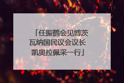 任振鹤会见博茨瓦纳国民议会议长凯奥拉佩采一行