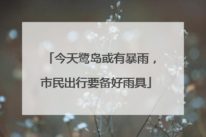 今天鹭岛或有暴雨，市民出行要备好雨具