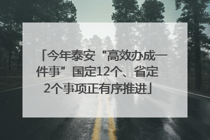 今年泰安“高效办成一件事”国定12个、省定2个事项正有序推进
