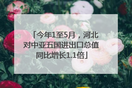 今年1至5月，河北对中亚五国进出口总值同比增长1.1倍