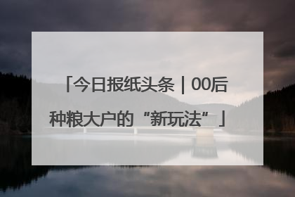今日报纸头条｜00后种粮大户的“新玩法”